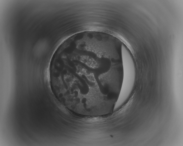 X0000102530891200808151553