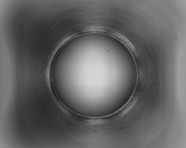 X0000102530893200808151553