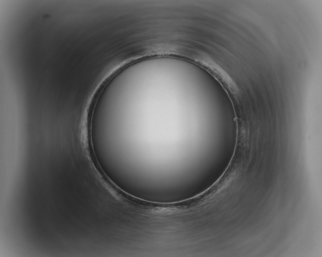 X0000102530894200808151553