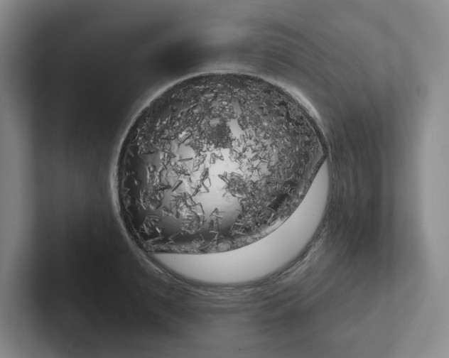 X0000102530895200808151553