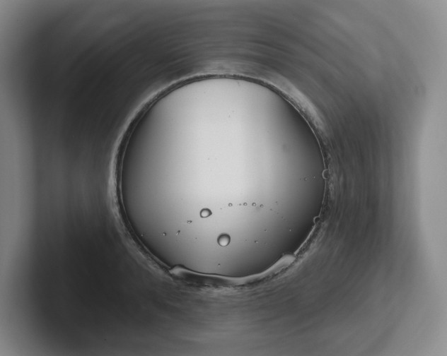 X0000102530896200808151553