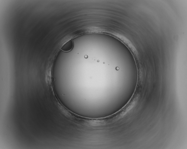 X0000102530897200808151553