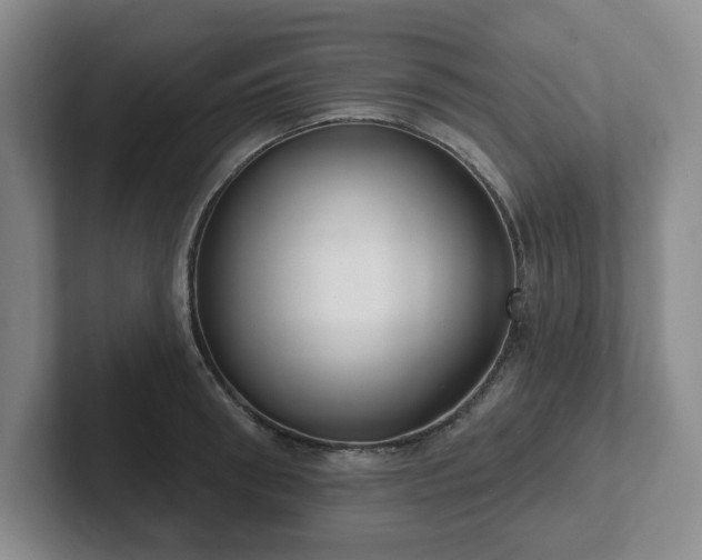 X0000102530898200808151553