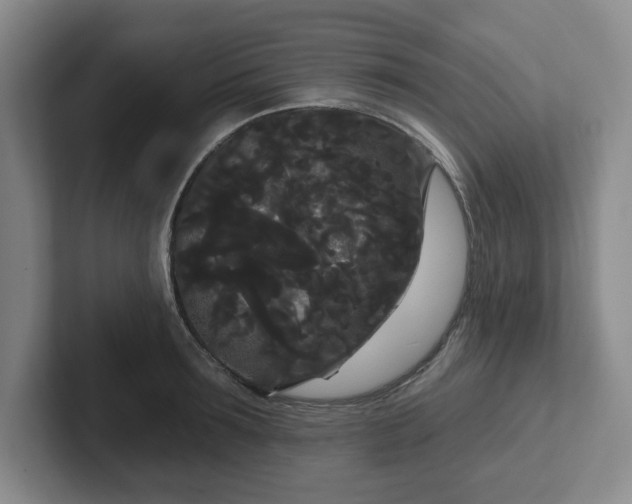 X0000102530899200808151553