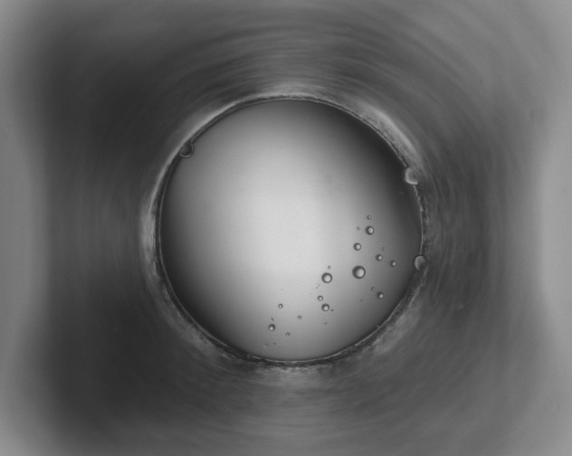 X0000102530900200808151553