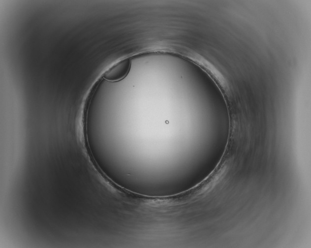 X0000102530902200808151552