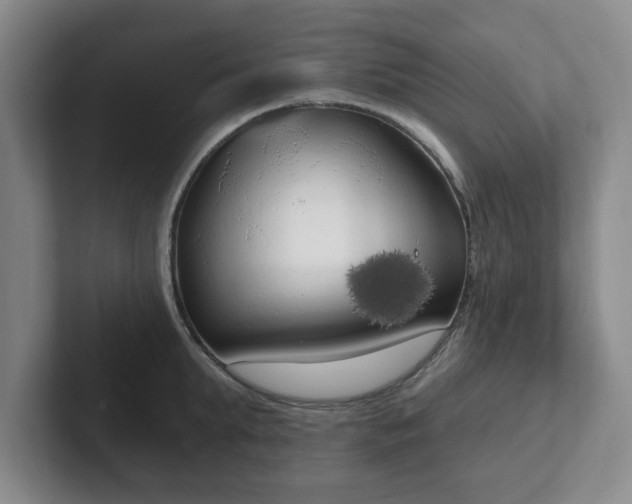 X0000102530903200808151552