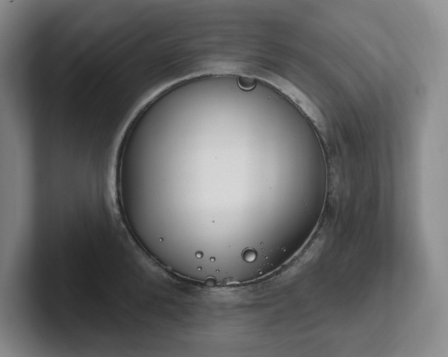 X0000102530904200808151552