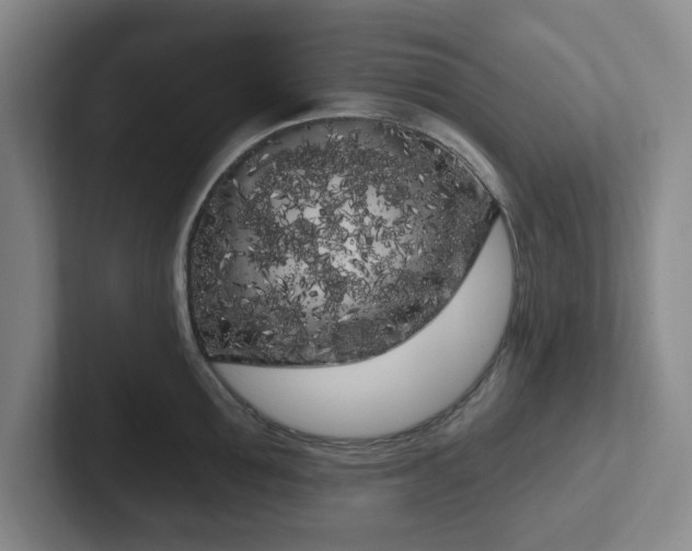 X0000102530907200808151552