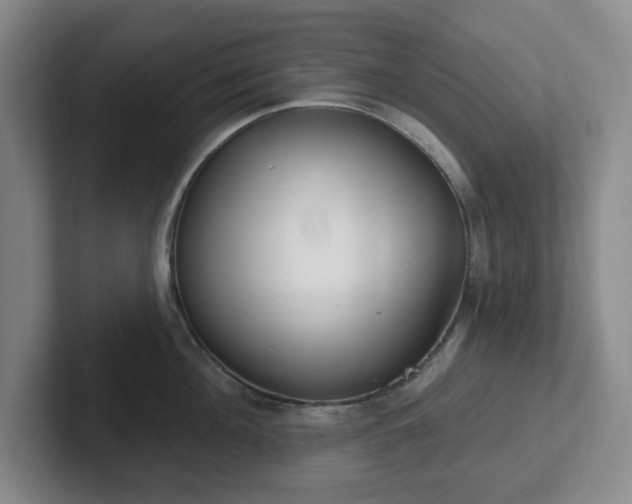 X0000102530908200808151552