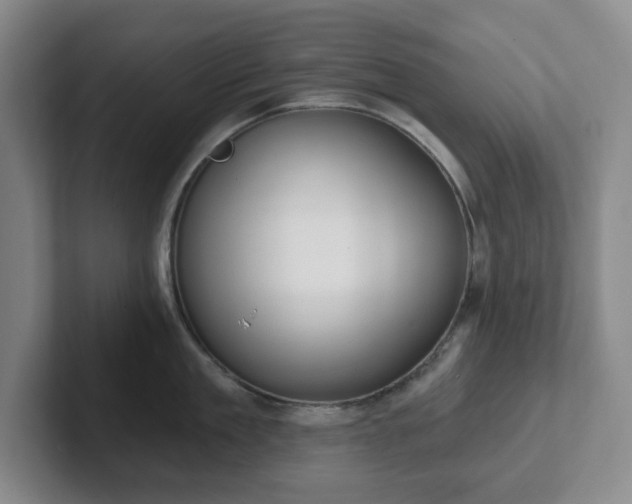 X0000102530909200808151552