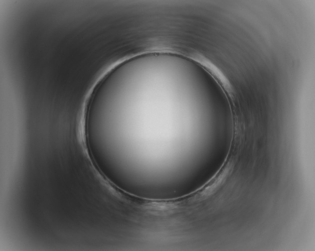 X0000102530910200808151552