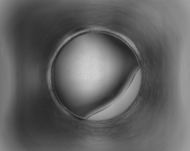 X0000102530911200808151552