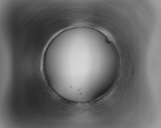 X0000102530912200808151552