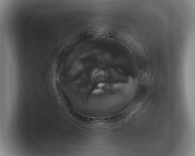 X0000102530913200808151552