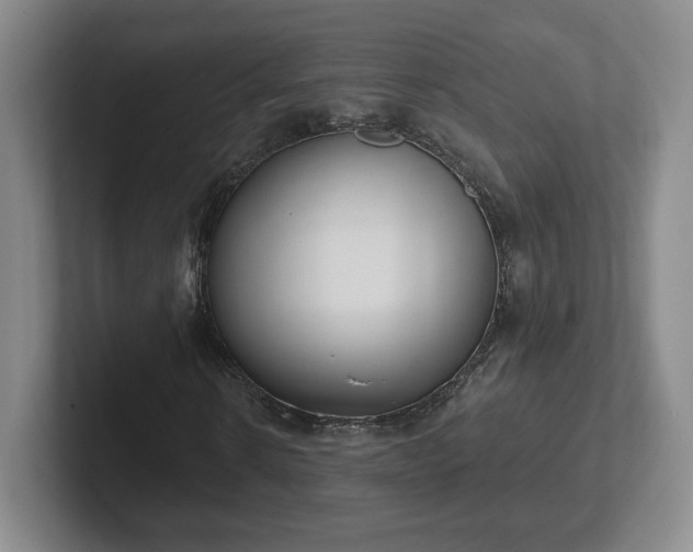 X0000102530914200808151552