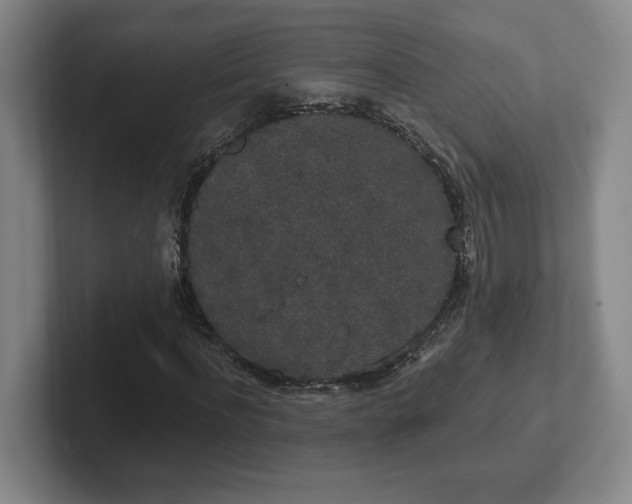 X0000102530916200808151552