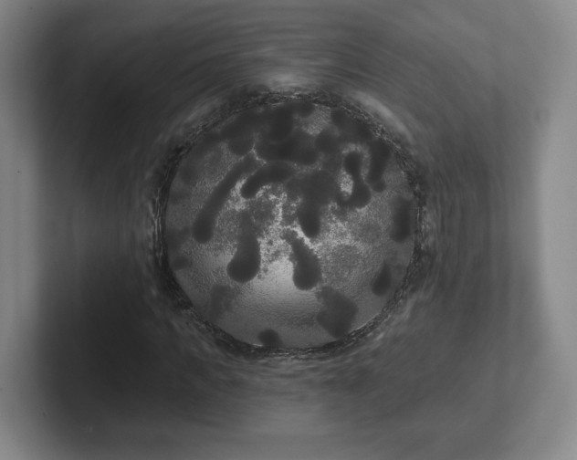 X0000102530917200808151552