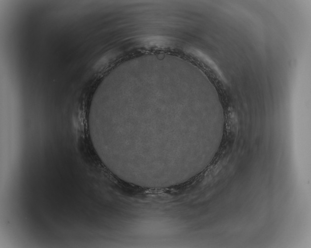 X0000102530918200808151552