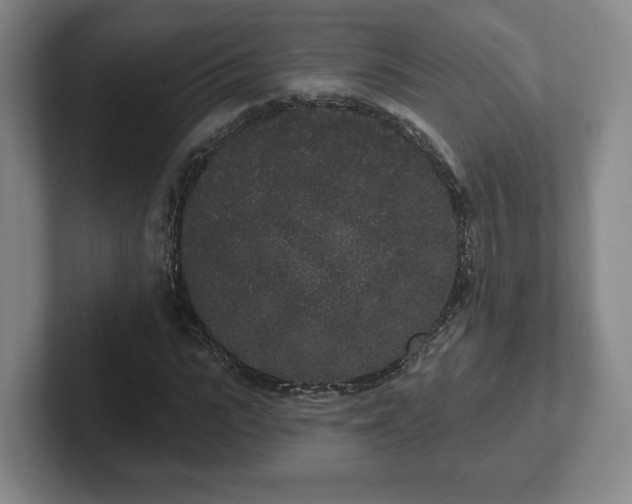 X0000102530919200808151552