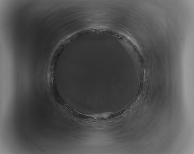 X0000102530920200808151552