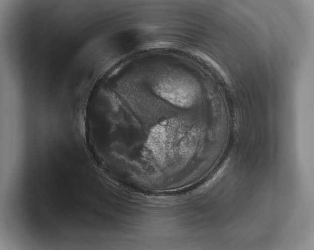 X0000102530921200808151552