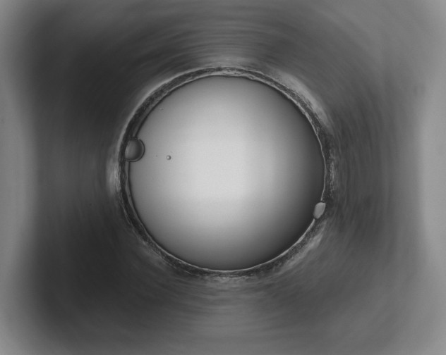 X0000102530924200808151552