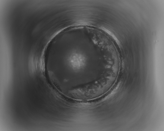 X0000102530925200808151552