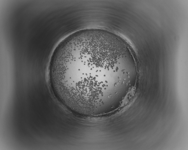 X0000102530928200808151552