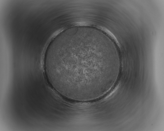 X0000102530930200808151552