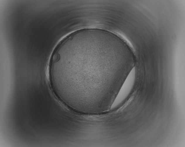 X0000102530932200808151552