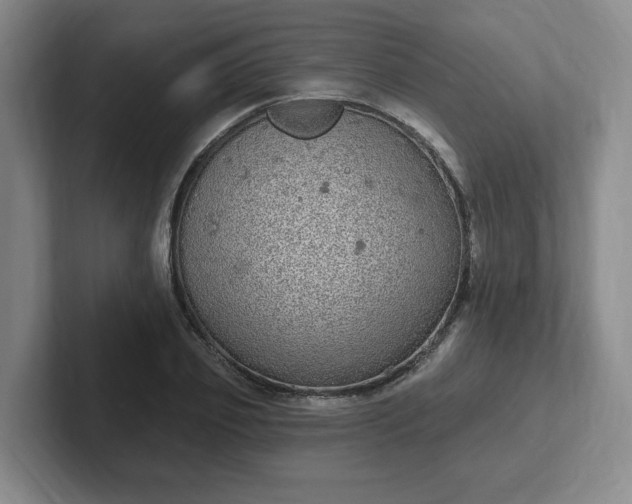 X0000102530933200808151552