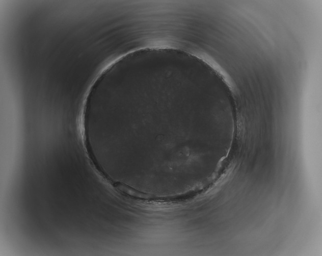 X0000102530935200808151552