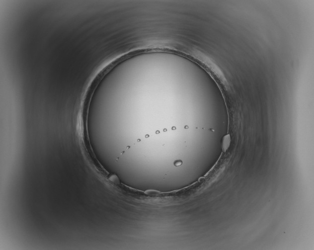 X0000102530936200808151552