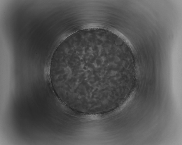 X0000102530937200808151552