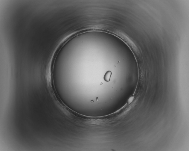 X0000102530940200808151552