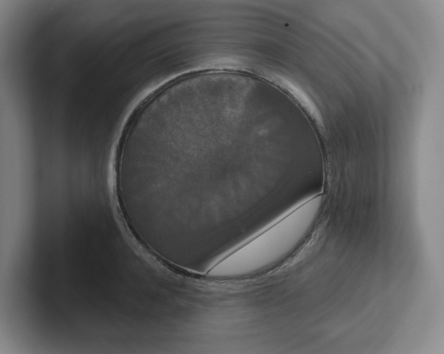 X0000102530944200808151552