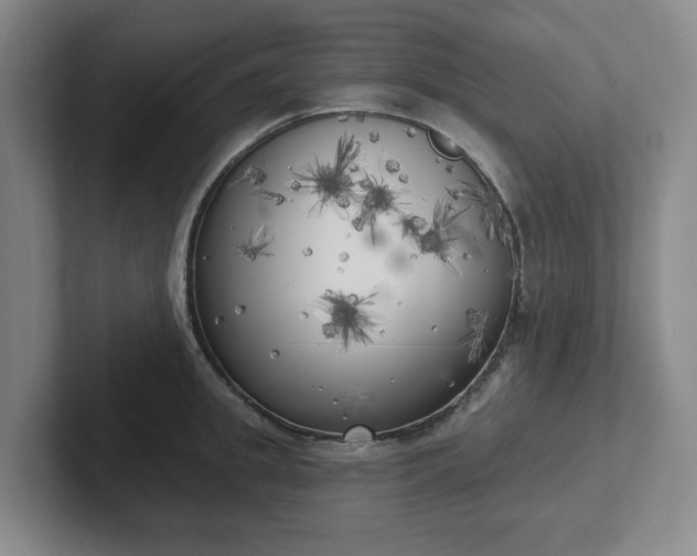 X0000102530949200808151552