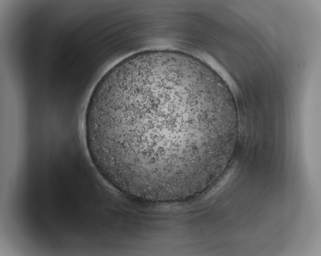 X0000102530951200808151552