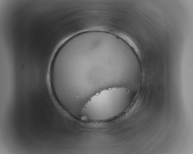 X0000102530952200808151552