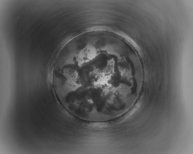 X0000102530953200808151552