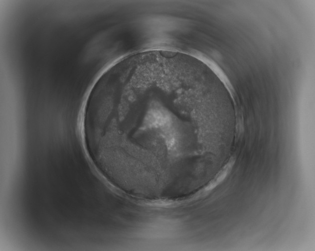 X0000102530957200808151552