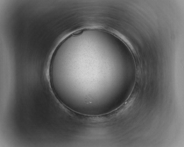 X0000102530959200808151552