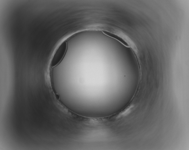 X0000102530960200808151552