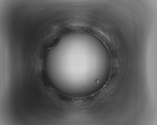 X0000102530965200808151552