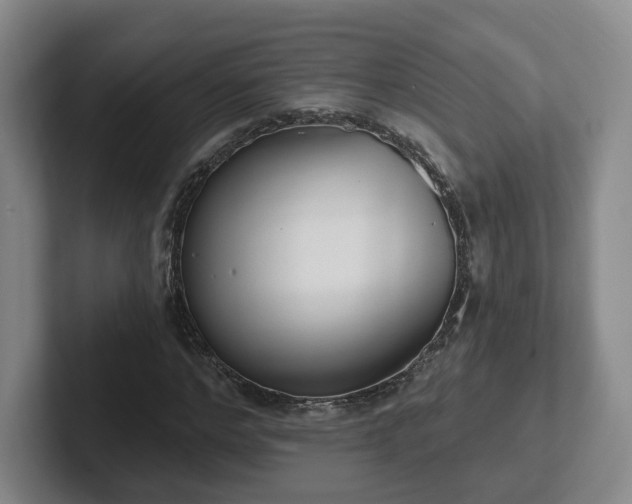 X0000102530968200808151552