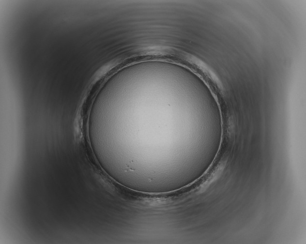 X0000102530970200808151552