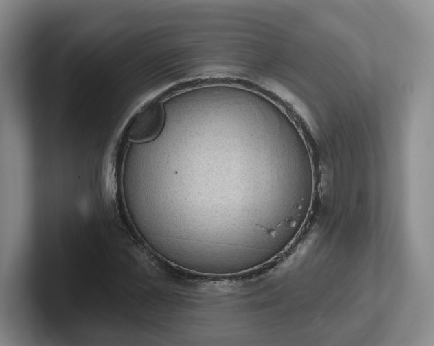 X0000102530973200808151551