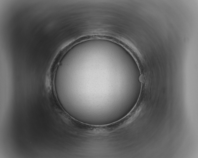 X0000102530974200808151551