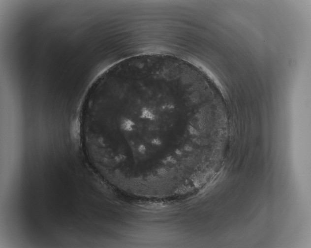 X0000102530975200808151551